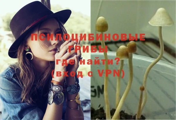 ALPHA-PVP Кинешма